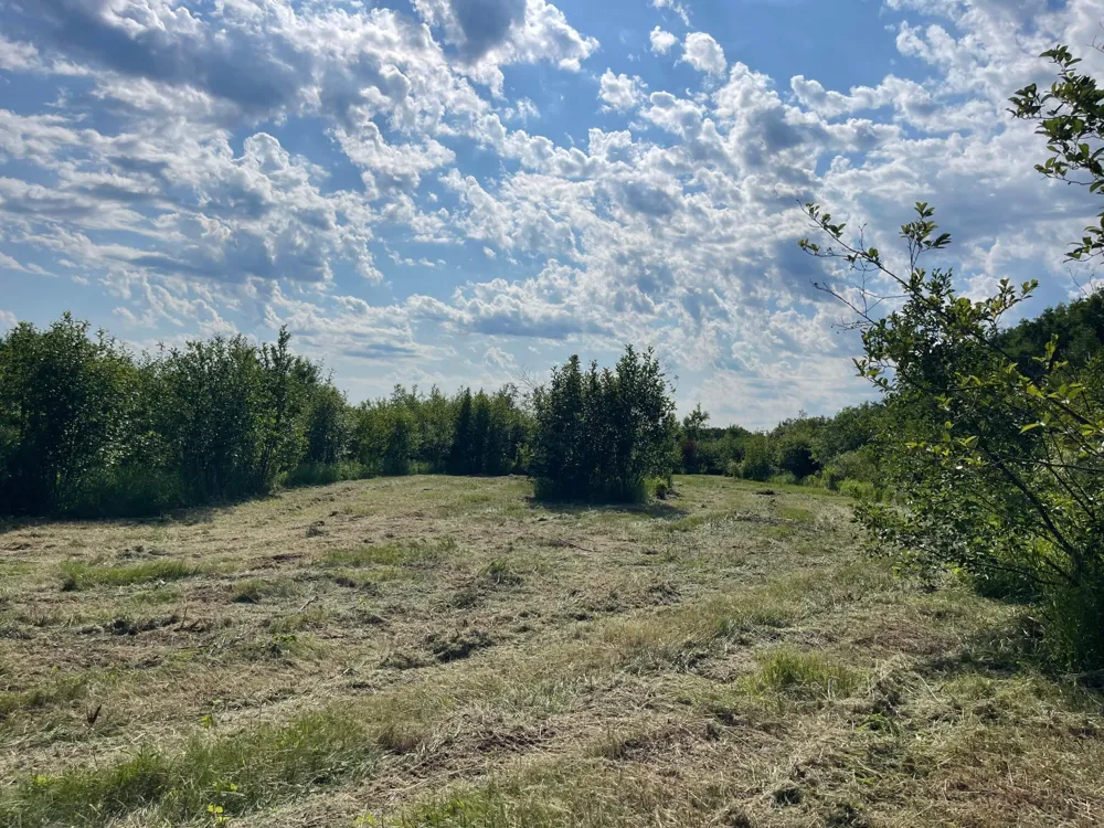 TBD Skog Road Kettle River, MN 55757