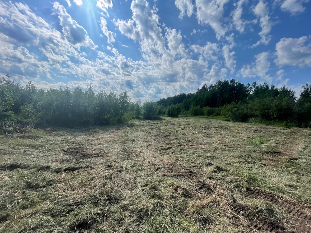 TBD Skog Road Kettle River, MN 55757