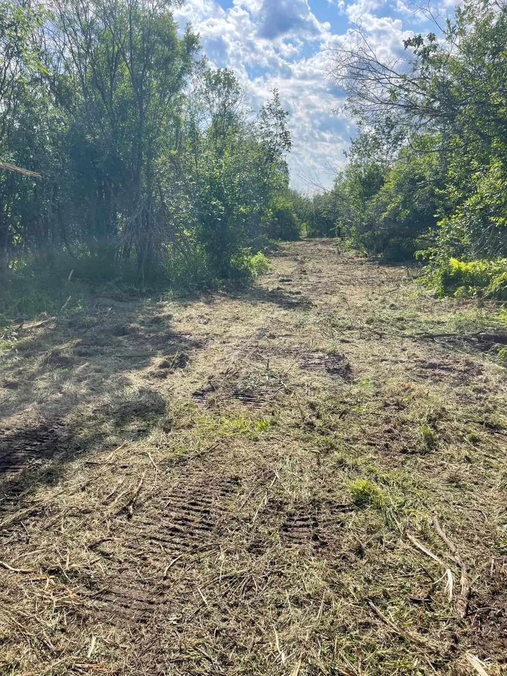 TBD Skog Road Kettle River, MN 55757
