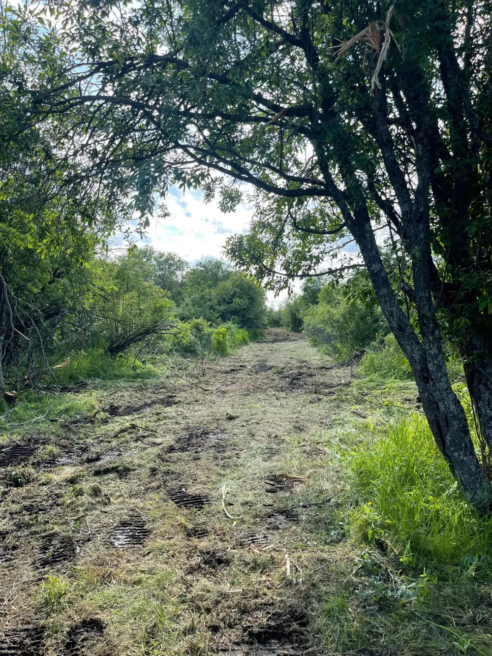 TBD Skog Road Kettle River, MN 55757