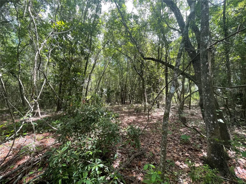 000 SE HAWTHORNE ROAD Hawthorne, FL 32640