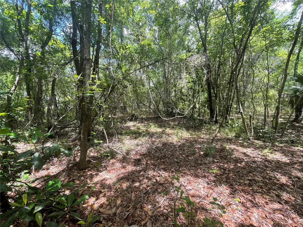 000 SE HAWTHORNE ROAD Hawthorne, FL 32640