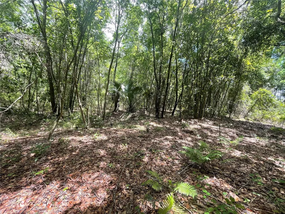 000 SE HAWTHORNE ROAD Hawthorne, FL 32640