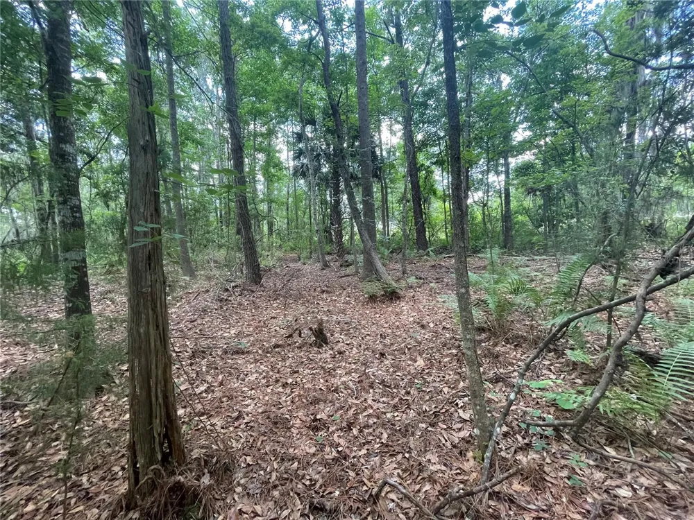 000 SE HAWTHORNE ROAD Hawthorne, FL 32640