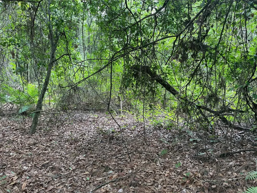 000 SE HAWTHORNE ROAD Hawthorne, FL 32640