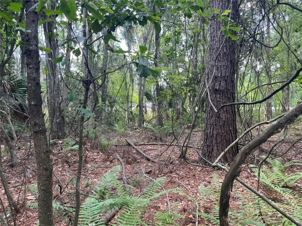 000 SE HAWTHORNE ROAD Hawthorne, FL 32640