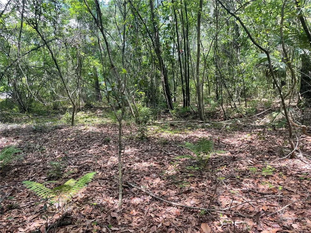 000 SE HAWTHORNE ROAD Hawthorne, FL 32640