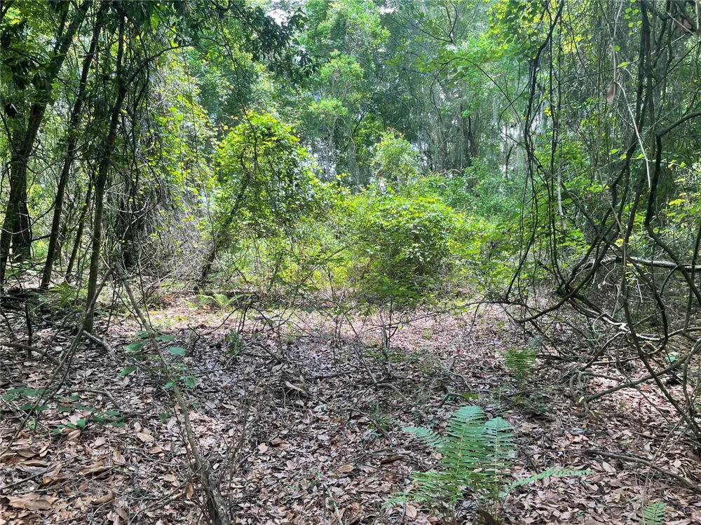 000 SE HAWTHORNE ROAD Hawthorne, FL 32640