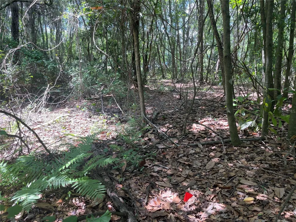 000 SE HAWTHORNE ROAD Hawthorne, FL 32640