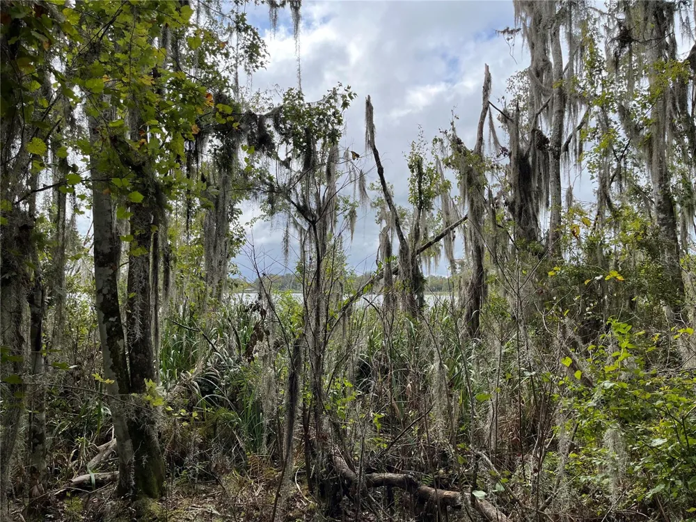000 SE HAWTHORNE ROAD Hawthorne, FL 32640