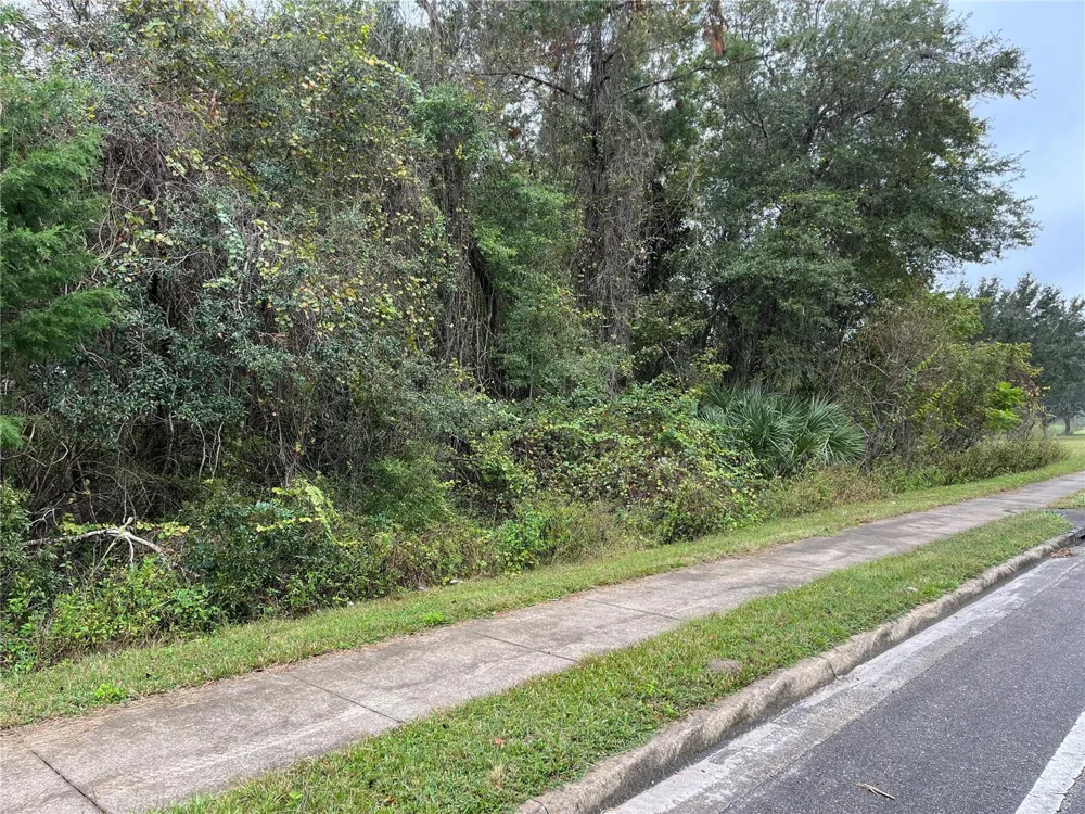 000 SE HAWTHORNE ROAD Hawthorne, FL 32640