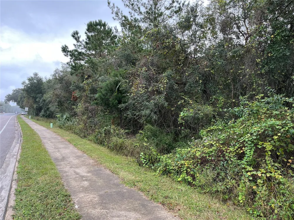 000 SE HAWTHORNE ROAD Hawthorne, FL 32640