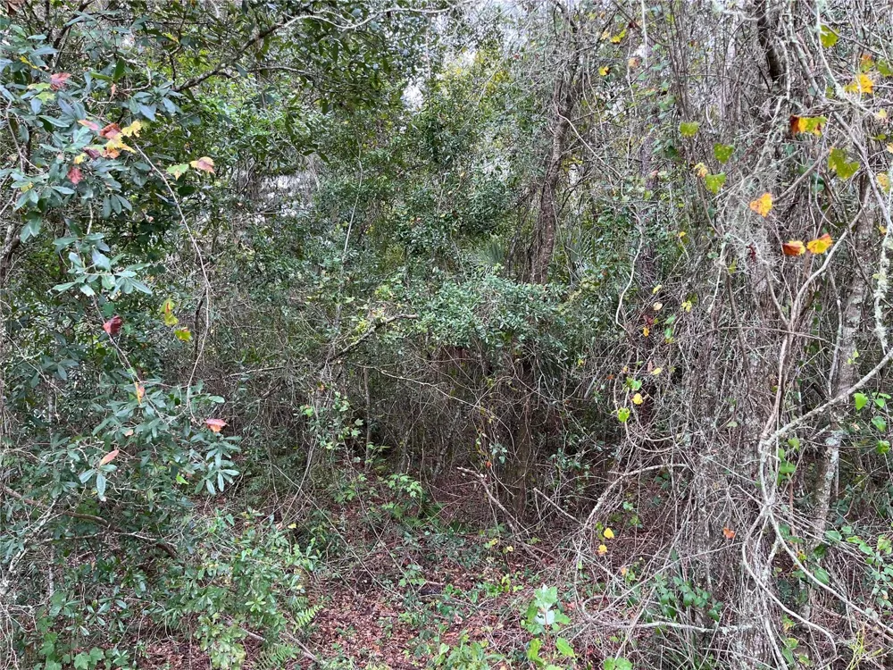 000 SE HAWTHORNE ROAD Hawthorne, FL 32640