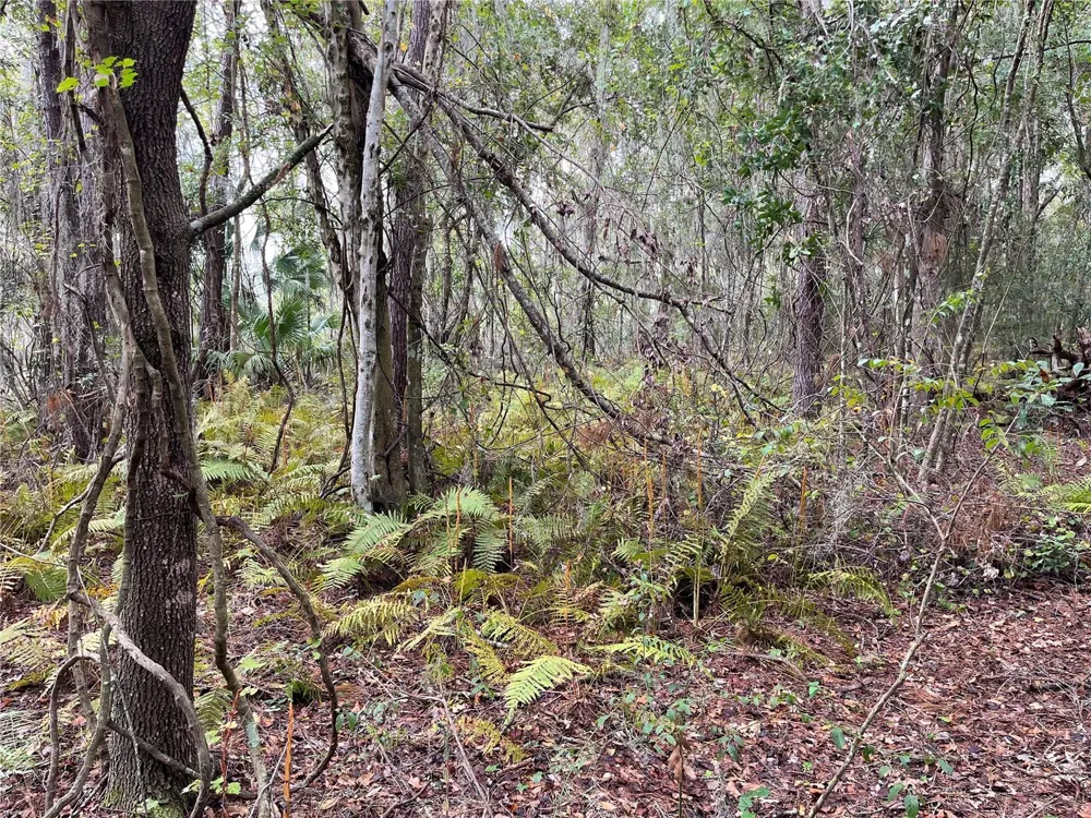 000 SE HAWTHORNE ROAD Hawthorne, FL 32640