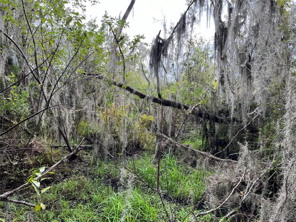000 SE HAWTHORNE ROAD Hawthorne, FL 32640