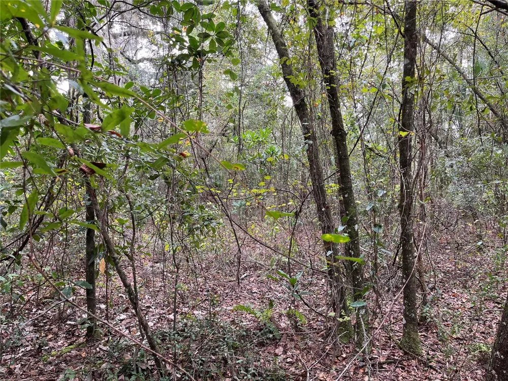 000 SE HAWTHORNE ROAD Hawthorne, FL 32640