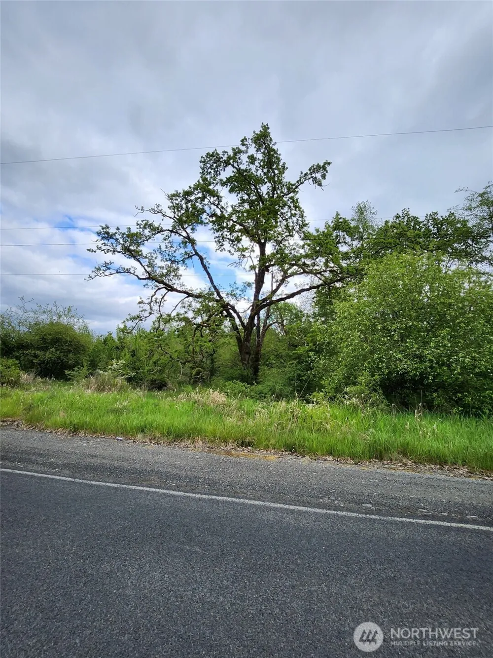 0 Henriot Road Toledo, WA 98591