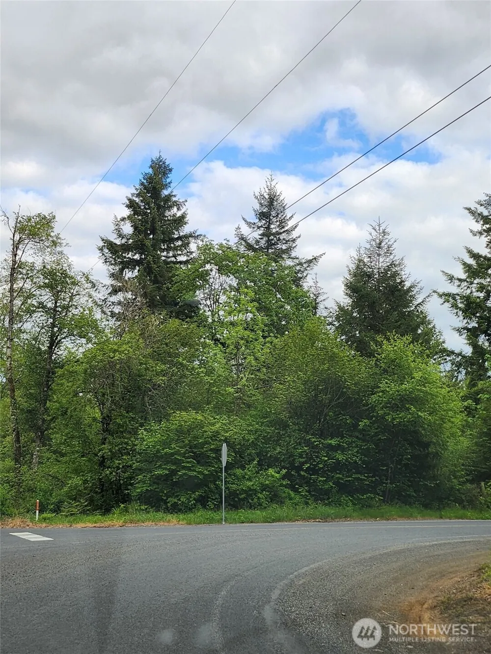 0 Henriot Road Toledo, WA 98591