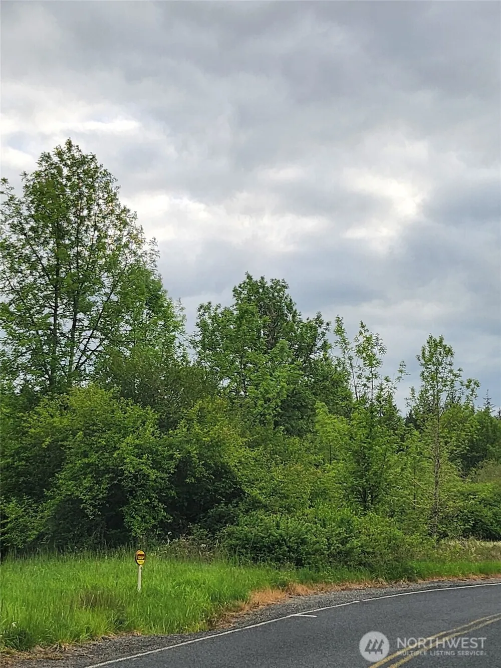 0 Henriot Road Toledo, WA 98591