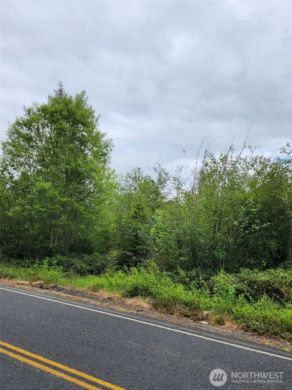 0 Henriot Road Toledo, WA 98591