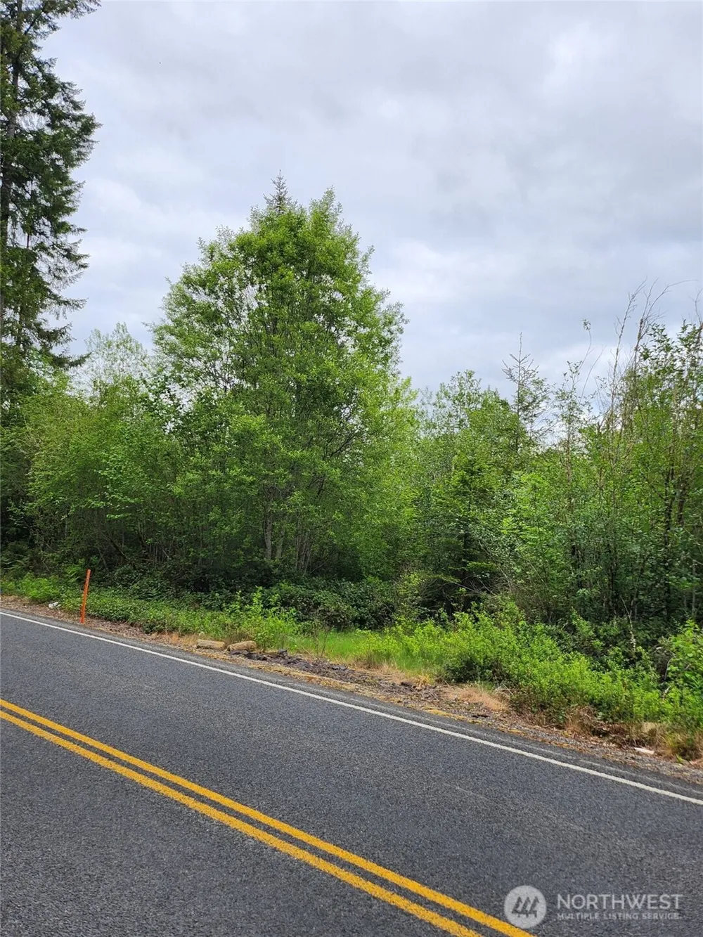 0 Henriot Road Toledo, WA 98591