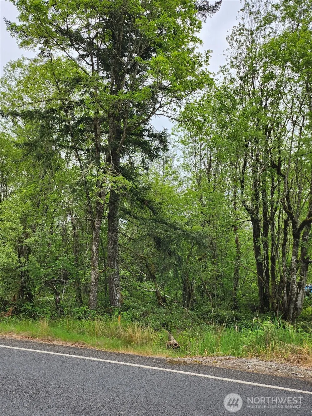 0 Henriot Road Toledo, WA 98591