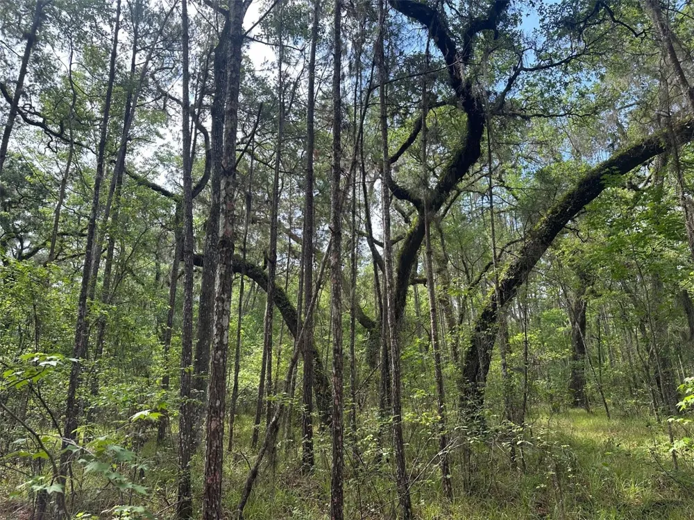 0 EMERSON ROAD Brooksville, FL 34601