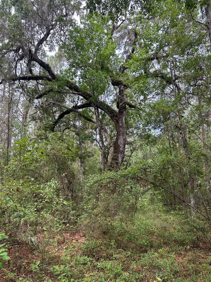 0 EMERSON ROAD Brooksville, FL 34601