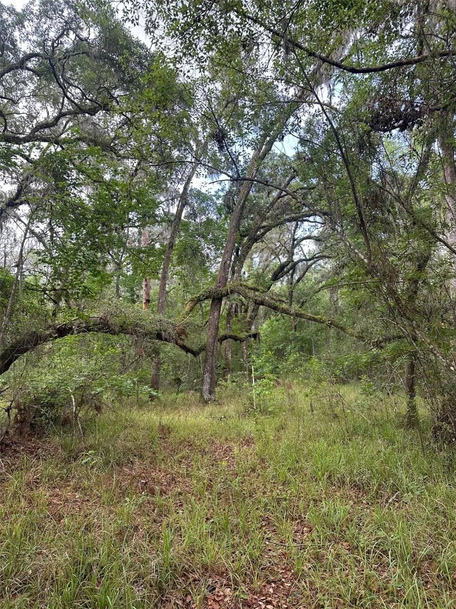 0 EMERSON ROAD Brooksville, FL 34601