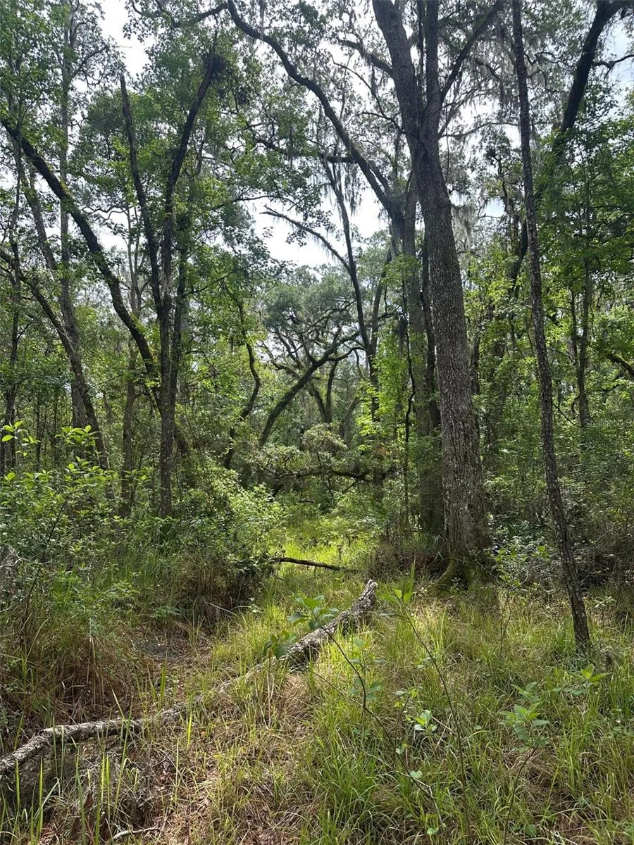 0 EMERSON ROAD Brooksville, FL 34601