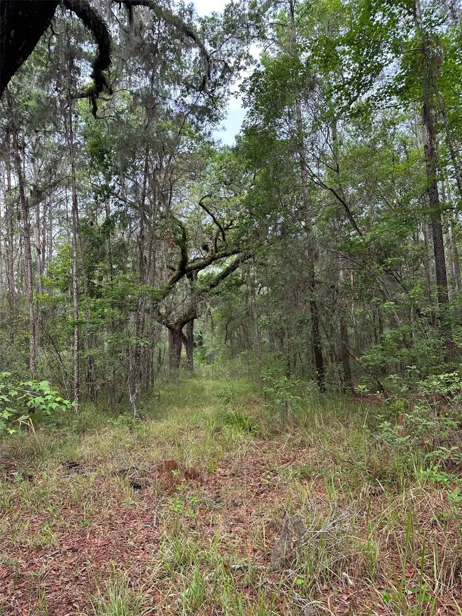 0 EMERSON ROAD Brooksville, FL 34601