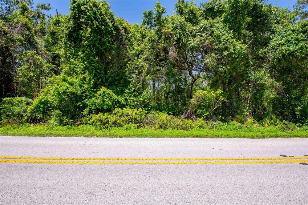 0 EMERSON ROAD Brooksville, FL 34601