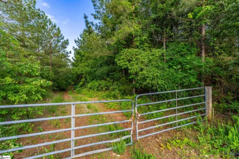 11277 Highway 221 S