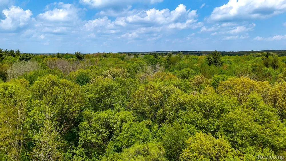 Michael Street Brandon Charter Township, MI 48462