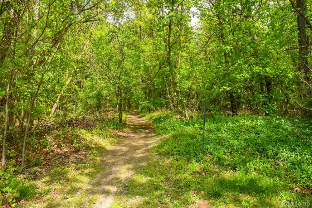 Michael Street Brandon Charter Township, MI 48462