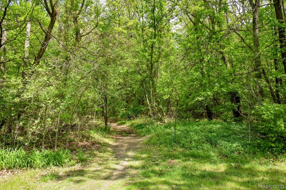 Michael Street Brandon Charter Township, MI 48462