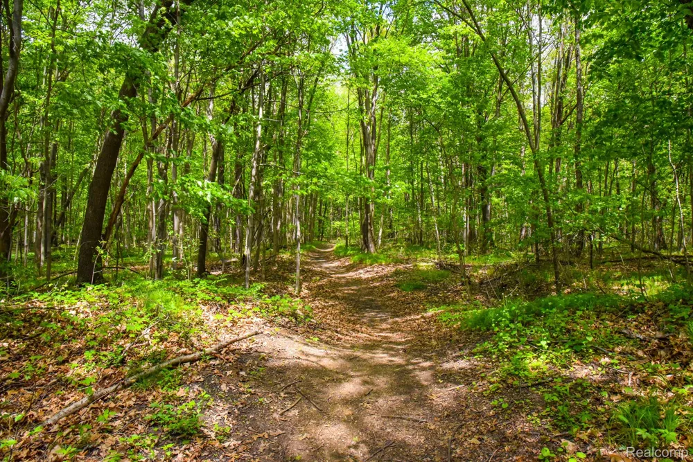 Michael Street Brandon Charter Township, MI 48462