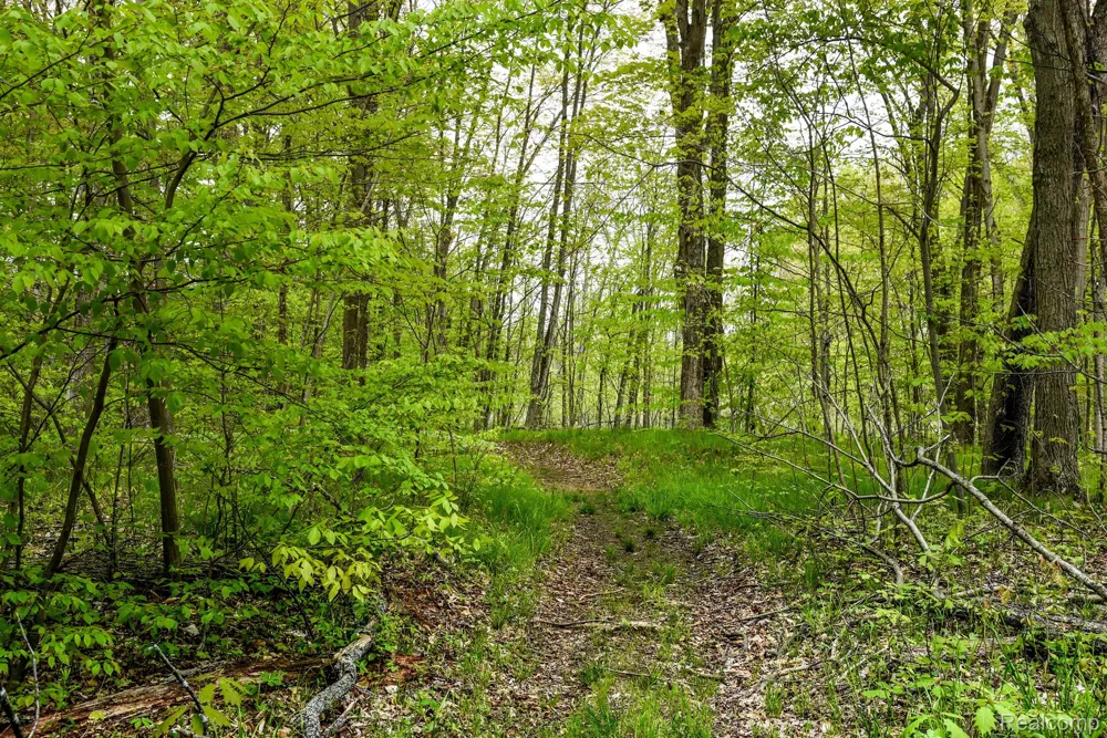 Michael Street Brandon Charter Township, MI 48462