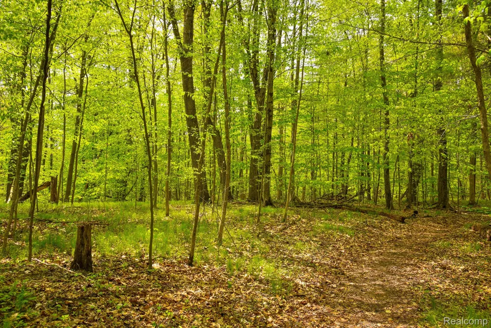 Michael Street Brandon Charter Township, MI 48462