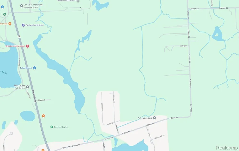 Michael Street Brandon Charter Township, MI 48462