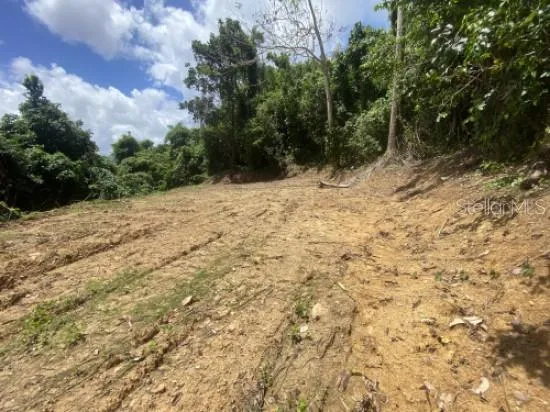 BO. TURABO Caguas, PR 00725