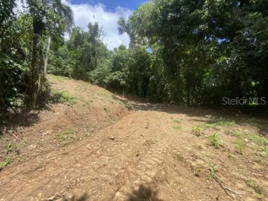 BO. TURABO Caguas, PR 00725