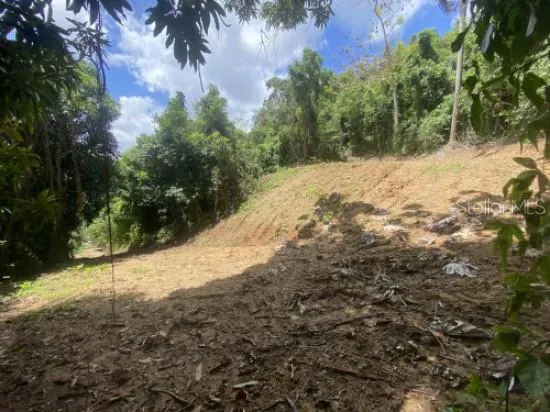 BO. TURABO Caguas, PR 00725