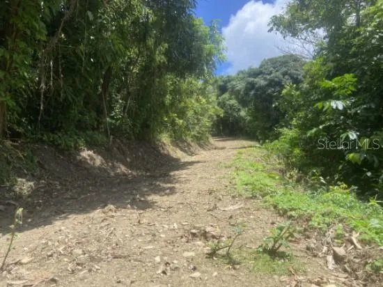 BO. TURABO Caguas, PR 00725