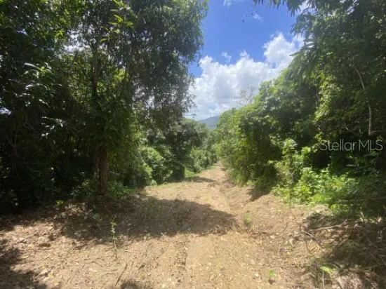 BO. TURABO Caguas, PR 00725