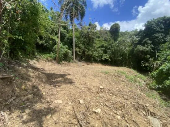 BO. TURABO Caguas, PR 00725
