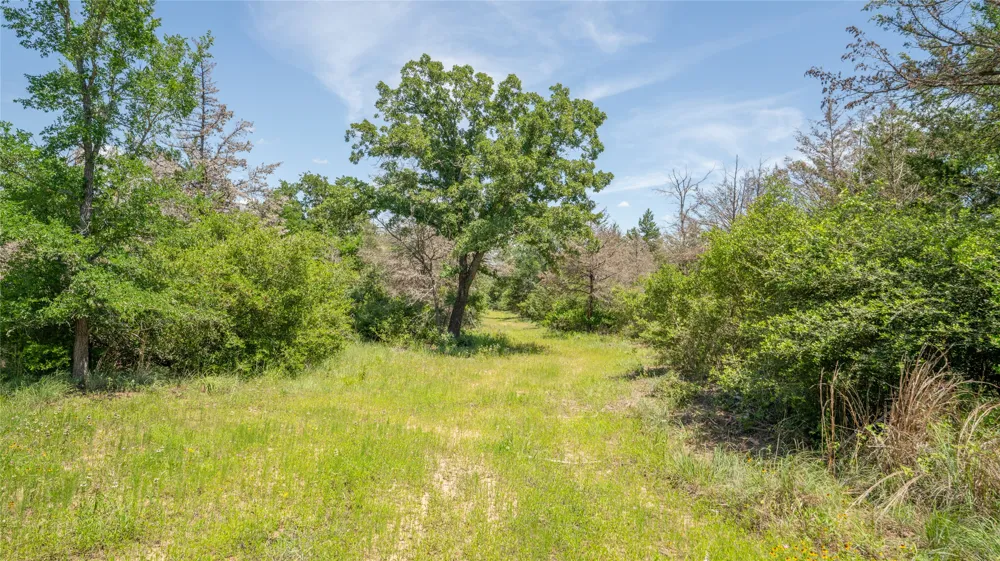 CR 330 Milano, TX 76556