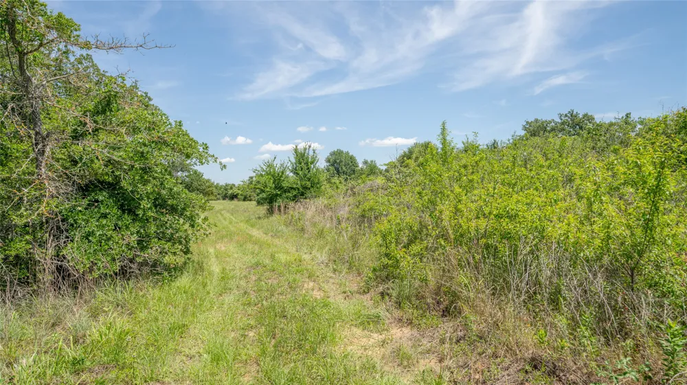 CR 330 Milano, TX 76556