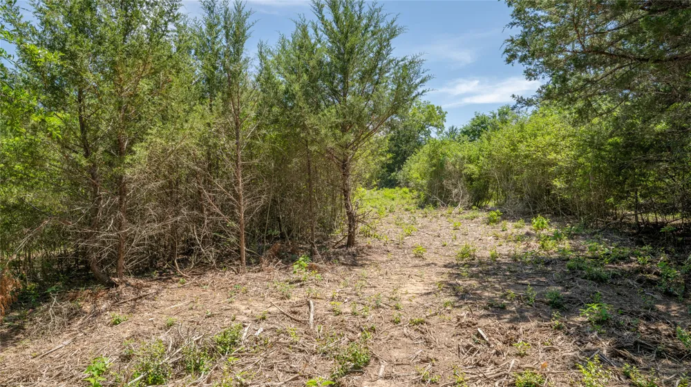CR 330 Milano, TX 76556