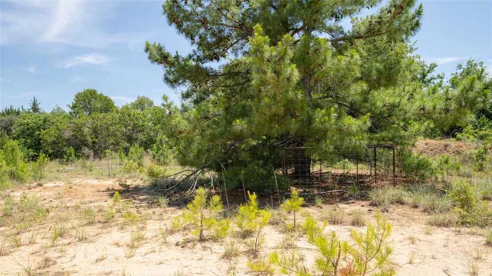 CR 330 Milano, TX 76556